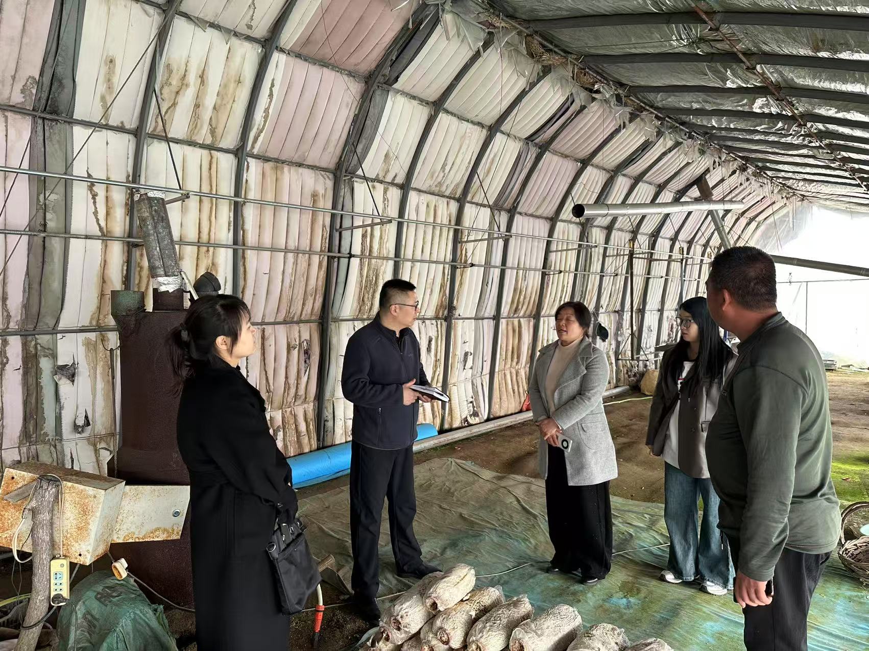 科技特派员助力食用菌产业发展